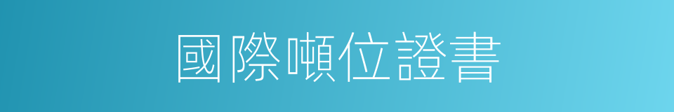 國際噸位證書的同義詞