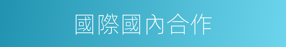 國際國內合作的同義詞
