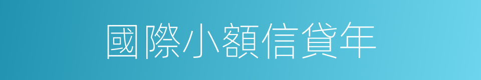 國際小額信貸年的同義詞