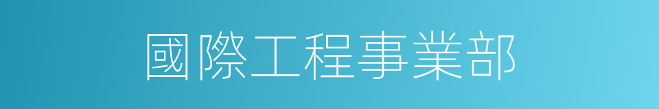 國際工程事業部的同義詞