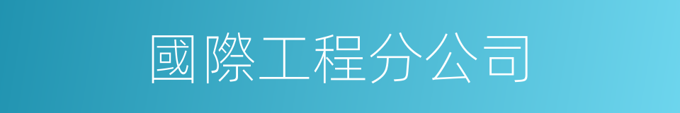 國際工程分公司的同義詞