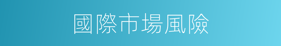 國際市場風險的同義詞