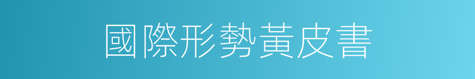 國際形勢黃皮書的同義詞