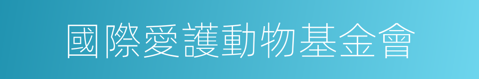 國際愛護動物基金會的同義詞