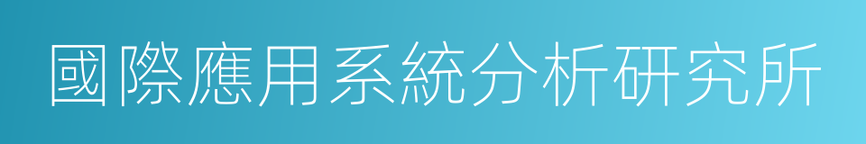 國際應用系統分析研究所的意思