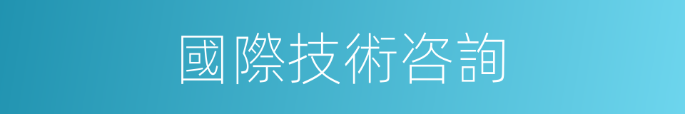 國際技術咨詢的同義詞