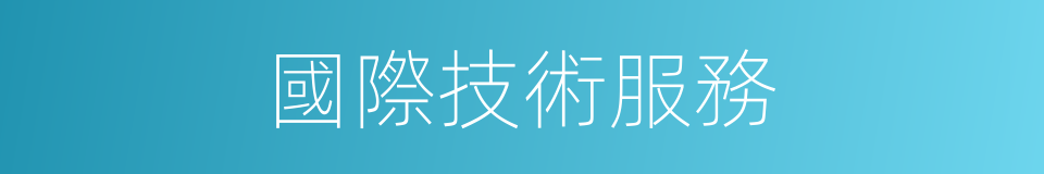 國際技術服務的同義詞