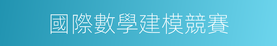 國際數學建模競賽的同義詞