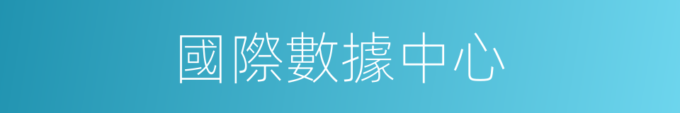 國際數據中心的同義詞