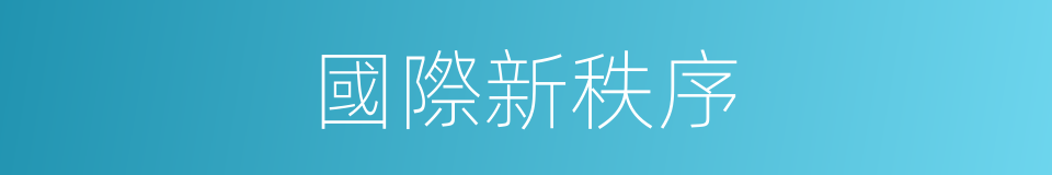 國際新秩序的同義詞