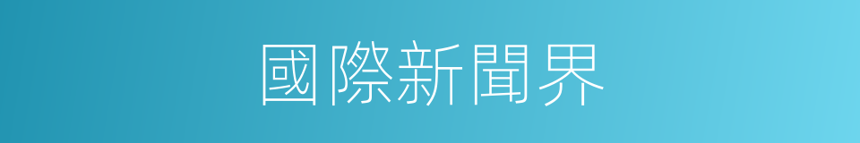 國際新聞界的同義詞