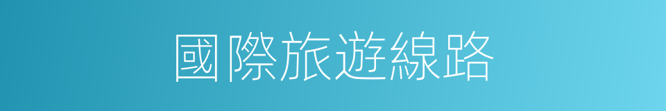國際旅遊線路的同義詞