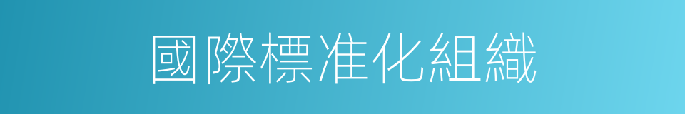 國際標准化組織的同義詞