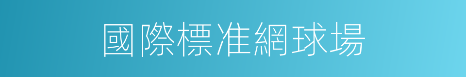 國際標准網球場的同義詞