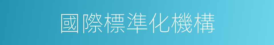 國際標準化機構的同義詞