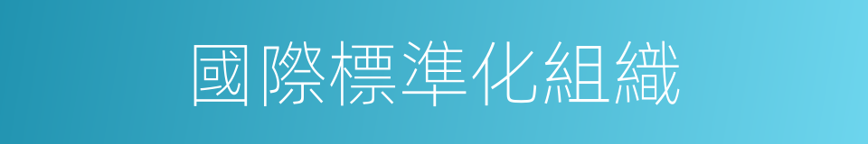 國際標準化組織的同義詞