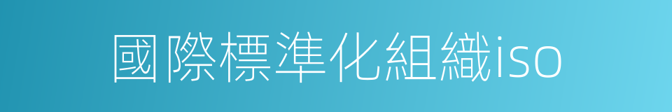 國際標準化組織iso的同義詞