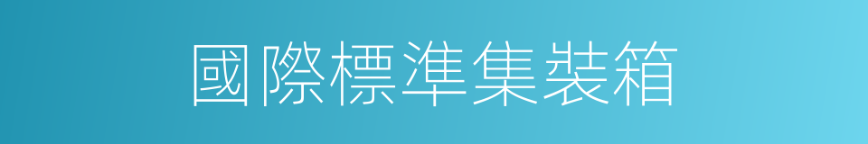 國際標準集裝箱的同義詞