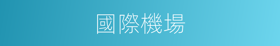 國際機場的同義詞