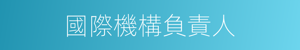 國際機構負責人的同義詞