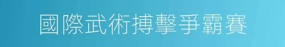 國際武術搏擊爭霸賽的同義詞