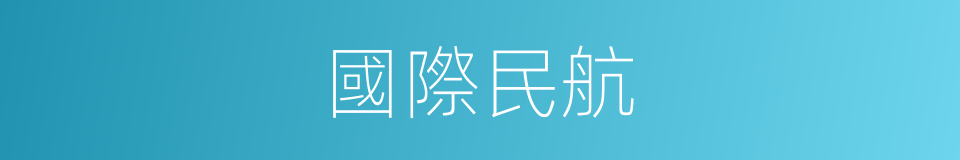 國際民航的同義詞