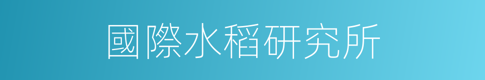 國際水稻研究所的同義詞