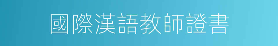 國際漢語教師證書的同義詞