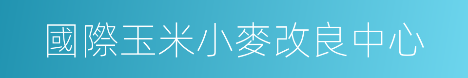 國際玉米小麥改良中心的同義詞
