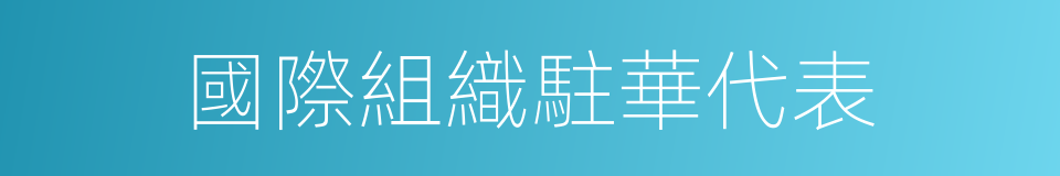 國際組織駐華代表的同義詞