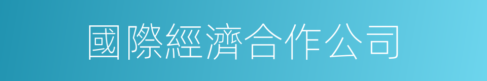 國際經濟合作公司的同義詞
