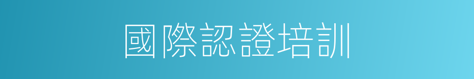 國際認證培訓的同義詞