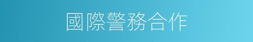 國際警務合作的同義詞