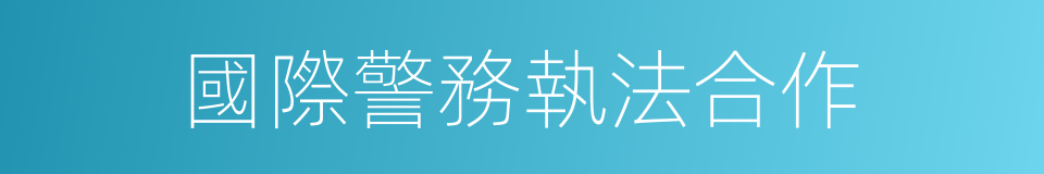 國際警務執法合作的同義詞