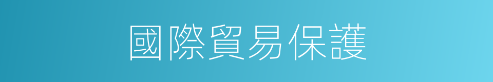 國際貿易保護的同義詞