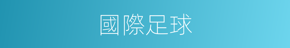 國際足球的同義詞