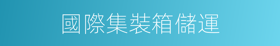 國際集裝箱儲運的同義詞