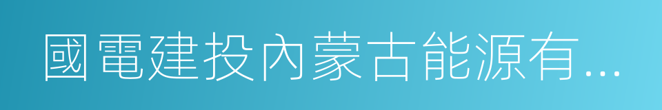 國電建投內蒙古能源有限公司的同義詞