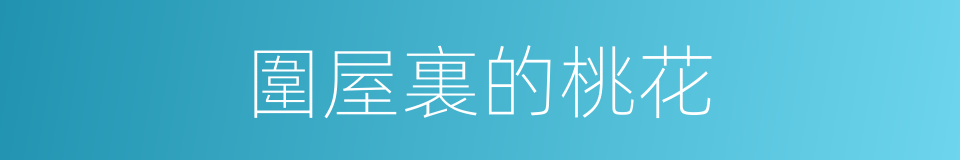 圍屋裏的桃花的同義詞