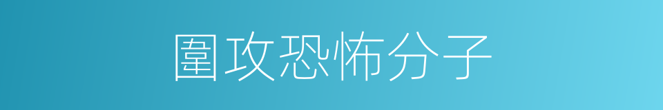 圍攻恐怖分子的同義詞