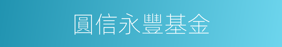 圓信永豐基金的同義詞