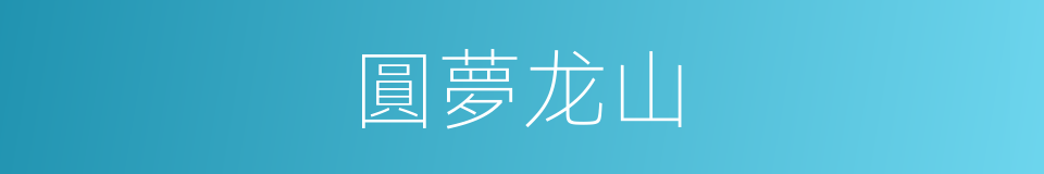 圓夢龙山的同義詞