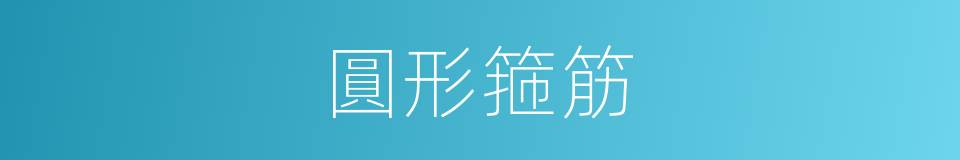 圓形箍筋的同義詞