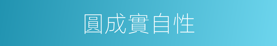 圓成實自性的意思