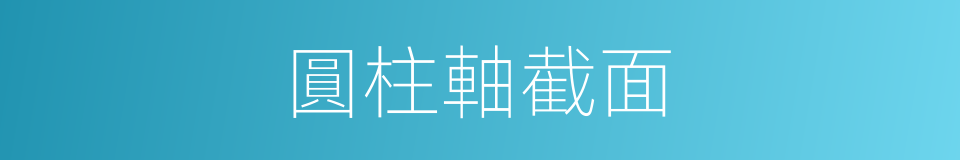 圓柱軸截面的同義詞