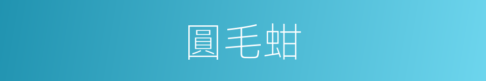 圓毛蚶的同義詞