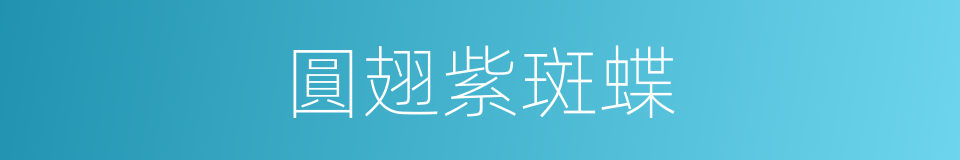 圓翅紫斑蝶的同義詞