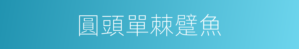 圓頭單棘躄魚的同義詞