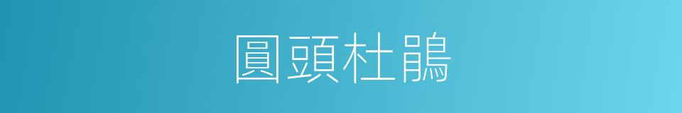 圓頭杜鵑的同義詞