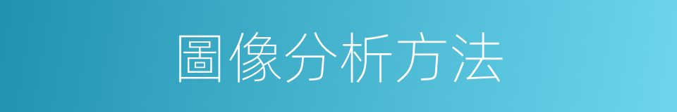 圖像分析方法的同義詞